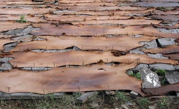 Inescop busca obtener biocombustible a partir de piel curtida